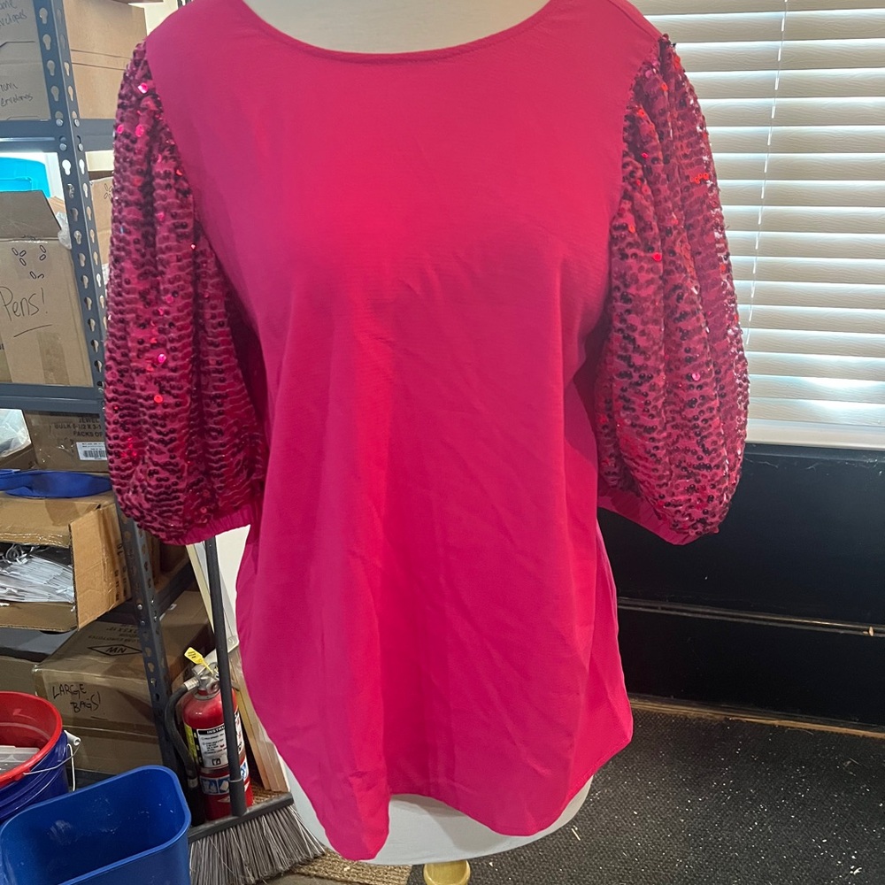 Vine and Love sequin sleeve boutique top